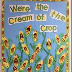 a bulletin board with corn on the cob and words that read, we're the cream of the crop