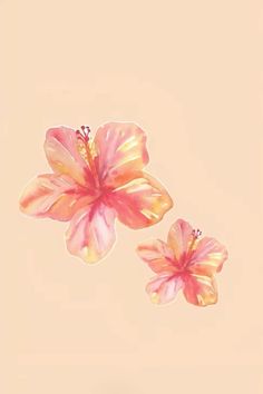 two pink flowers floating in the air on top of a light colored background with no one around them