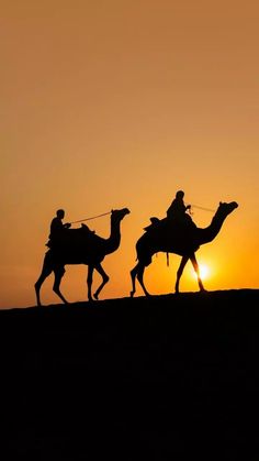 two people riding camels in the desert at sunset