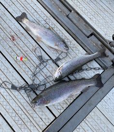 three fish are laying on a grill grate