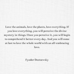 a quote from fyodor dostoevsky about love animals, love plants, and everything