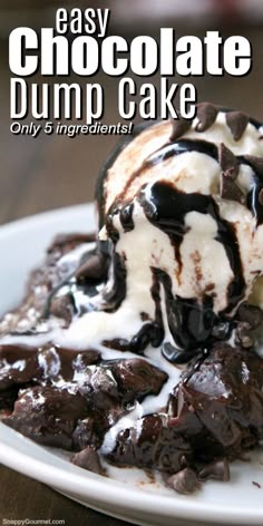 chocolate dump cake on a white plate with ice cream and chocolate chips in the middle