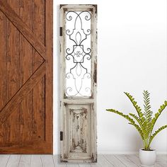 an old wooden door and potted plant next to it