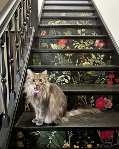 a long haired cat sitting on top of a set of stairs with floral wallpaper