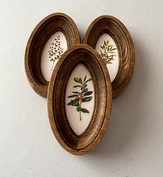 three oval wooden frames with flowers painted on them are hanging on the wall in front of a white wall