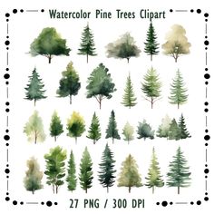 watercolor pine trees clipart