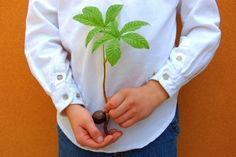 a person holding a small green plant in their hands