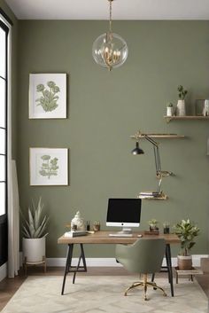 home decor interior design,interior bedroom design,designer wall paint,home paint colors Sage Green And Black Office, Grey And Green Office Ideas, Hygge Office At Home, Olive Green Home Office, Home Office Feature Wall, Office Accent Wall Paint, Spare Room Paint Colors, Sw Artichoke, Sage Green Study