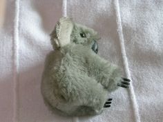 a stuffed koala is laying on the bed