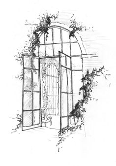 a drawing of an open window with vines growing on the outside and in between it