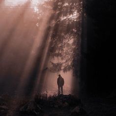 a man standing in the middle of a forest with sunbeams shining down on him