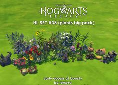 the hogwart's league hl set 28 plants big pack is now available