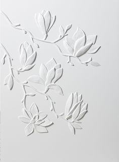 some white flowers and leaves on a white surface