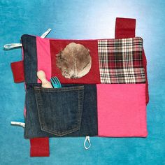 a cat sleeping in the pocket of some folded up jeans and other items on a blue background