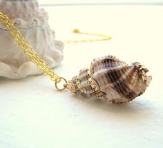 "Sale Gold Dipped Sea Shell pendant Necklace. Naurical jewelry. Mermaid jewelry. Real shell. Bohemian boho necklace. Sale Gold Dipped Sea Shell pendant Necklace. Mermaid jewelry. Real shell. Sale, $7 off. Unique gold dipped Sea Shell necklace. Beach jewelry. Natural dainty shell is dipped in gold and suspended on gold plated chain. Perfect for layering, everyday look and Beach weddings. The necklace can be made from 14 to 18 inches long, choose the size you like when you buy it.. If you need a d Bohemian Shell-shaped Necklace With Lobster Clasp, Bohemian Shell Jewelry With Lobster Clasp, Bohemian Wire Wrapped Shell Necklace, Bohemian Shell Necklace Wire Wrapped, Bohemian Shell-shaped Wire Wrapped Necklace, Bohemian Shell Necklace With Lobster Clasp, Bohemian Wire Wrapped Shell As Gift, Bohemian Wire Wrapped Shell Necklace As Gift, Bohemian Wire Wrapped Shell Gift