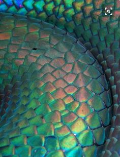 an image of a snake skin pattern in blue and green