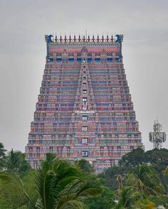 a very tall building with many windows on it's side and palm trees in the foreground