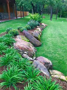 a garden with grass, rocks and plants