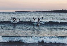 several surfers are riding the waves in the ocean at sunset or dawn, with one person on a surfboard