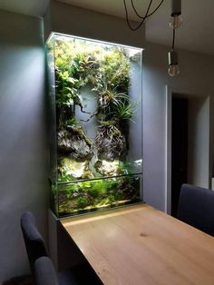 an aquarium is set up on the wall in front of a dining room table with chairs