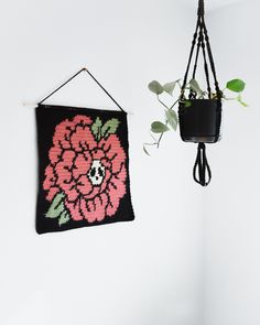 a plant hanging on the wall next to a crocheted flower pot holder with two plants in it