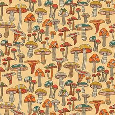 many different types of mushrooms on a yellow background