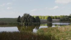 a lake surrounded by tall grass and trees