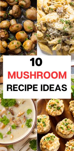 the top 10 mushroom recipe ideas