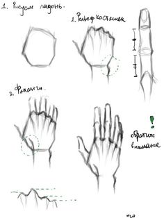 the steps in how to draw hands