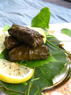 stuffed grape leaves and lemon slices on a plate