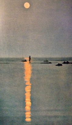 a person standing in the water at night with the moon shining over the ocean behind them