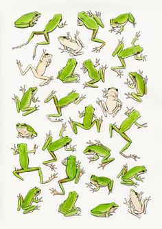 an image of green frogs on white paper