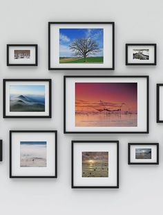 a group of framed pictures hanging on the wall next to each other in front of a white wall