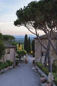 the entrance to an italian estate with trees and flowers on either side, surrounded by greenery