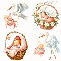 four different pictures of babys in baskets with flowers and birds around them, including a stork