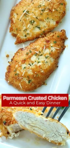 two pieces of parmesan crusted chicken on a white plate