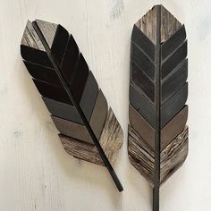 two black and brown feathers sitting on top of a white table