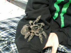 a person sitting on a bed wearing a spider sweatshirt