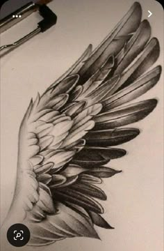 a pencil drawing of an angel wing