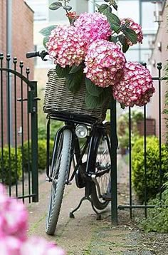 a bicycle with flowers in the basket parked next to a fence