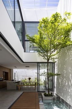 an indoor courtyard with a tree in the center and water running down it's side