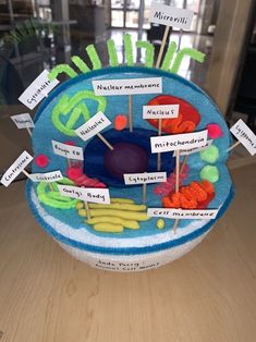 a model of an animal cell with name tags on it's sides and fruit in the middle