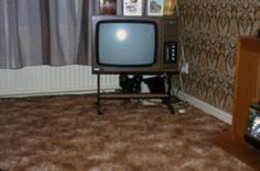 a cat is laying on the floor in front of an old television set and entertainment center