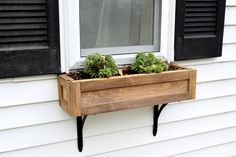 a window sill with two plants in it