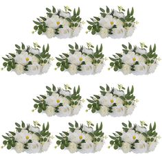 white flowers and green leaves are arranged in rows