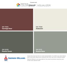 the color scheme for colorsnap visualizer is shown in red, white and gray