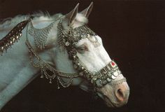 a white horse with silver jewelry on it's head