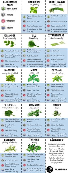 the different types of herbs that are used in cooking