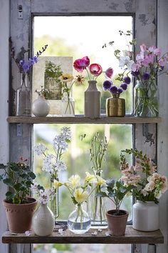 several vases filled with flowers sitting on top of a window sill