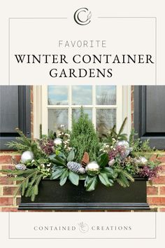 the front cover of favorite winter container gardens, featuring evergreens and pine cones in a window box